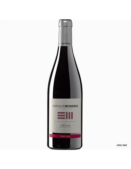Enrique Mendoza Pinot Noir - MENDOZA_PINOT_NOIR