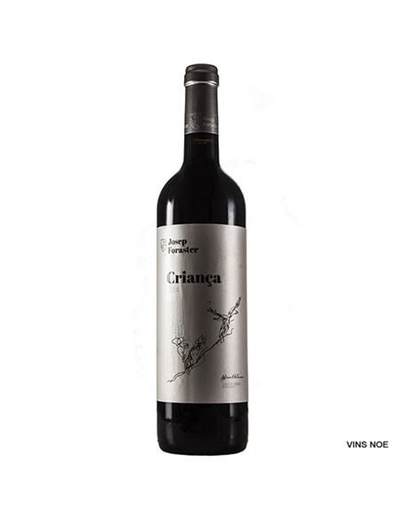 Foraster Criança 2018 - JOSEP_FORASTER_CRIANÇA