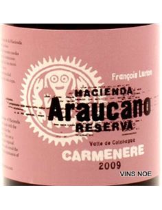 Lurton Araucano Carmenere - LURTON ARAUCANO CARMENERE 2
