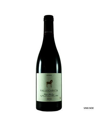 Vallegarcia Syrah 2018 - Vallegarcia_Syrah