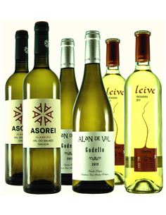 Paseo por las variedades y regiones de Galicia - 335 2