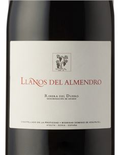 Los Llanos del Almendro - Llanosdelalmendro_VinsNoe 2
