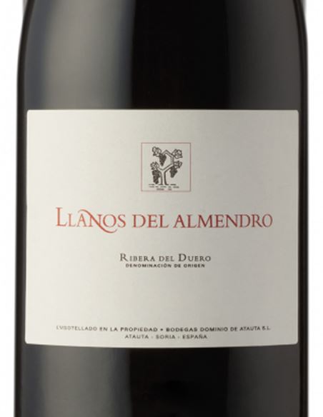 Los Llanos del Almendro - LlanosdelAlmendro_VinsNoe_etiqueta