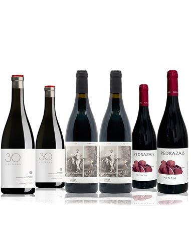 El Sil y el Miño, cuna de grandes tintos - Setembre_seleccio_345