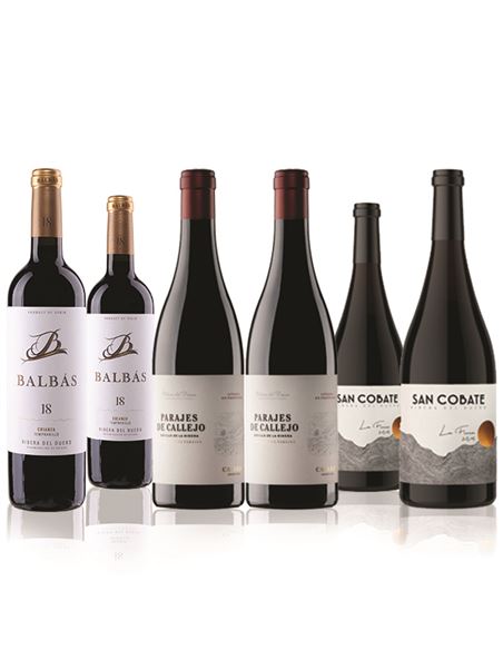 Riberas de Duero muy personales - Seleccio Octubre