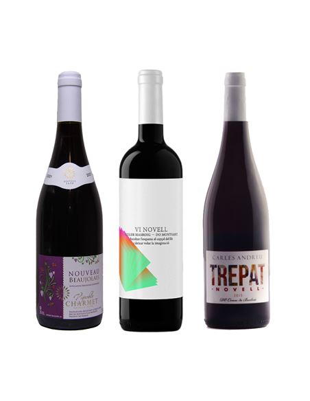 Selecció 3 Novells - Novells_21_1