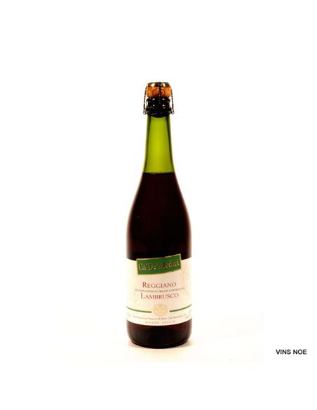 Lambrusco Ca.De.Medici Rosso Secco - CA  DA MEDICI LAMBRUSCO I SECCO