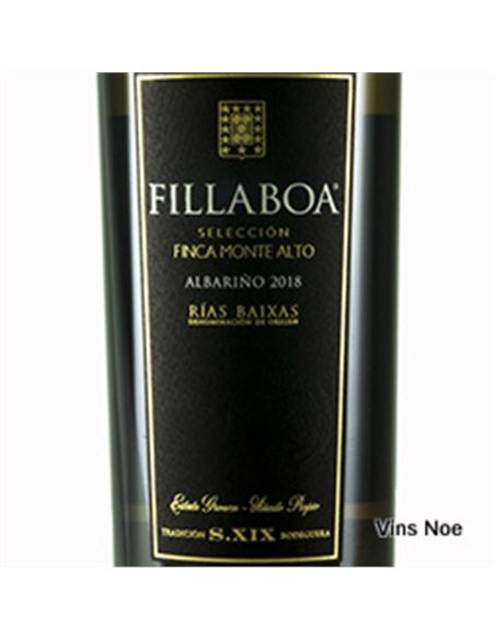 Fillaboa - FILLABOA_MONTE_ALTO-E