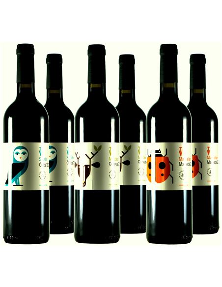 Los varietales de Vins de Taller - 340-2A-4