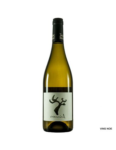 Essencial - Esencial