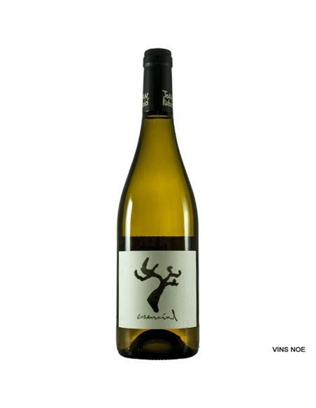 Essencial - Esencial