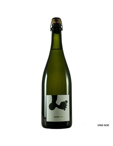 Ancestral Xarel·lo Joan Rubió - Joan_Rubió_Ancestral_Xarel·lo