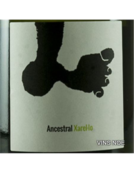 Ancestral Xarel·lo Joan Rubió - Joan_Rubió_Ancestral_Xarel·lo-E