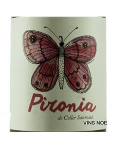 Pironia de Celler Sanromà - Pironia 2