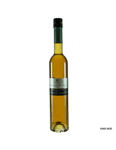 Malvasia seca de Sitges - Malvasia_Seca_de_Sitges _(050)