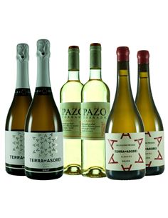 Terra de Asorei, alta expresión del Albariño en Rias Baixas - 312