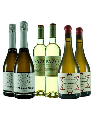 Terra de Asorei, alta expresión del Albariño en Rias Baixas - 312