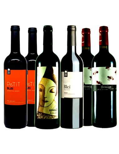 Dos bodegas del Priorat con carácter - 336_2