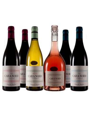 Cara Nord, viticultura de altura en la Sierra de Prades - 308_1.