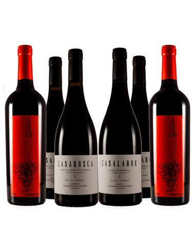 Los nuevos tesoros del valle de Albaida - 307_1