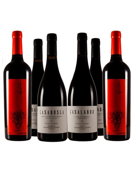 Los nuevos tesoros del valle de Albaida - 307_2