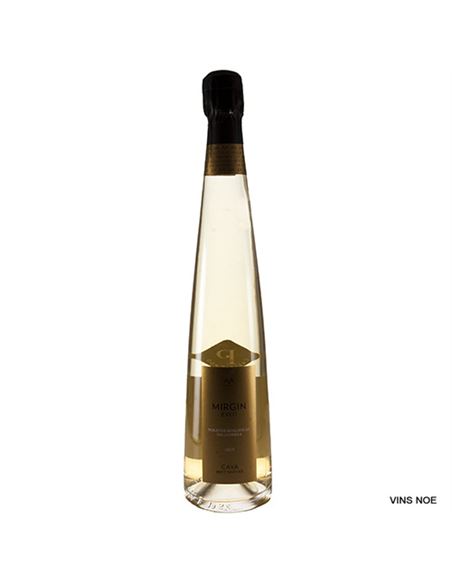 AA Mirgin Exeo Paratge Vallcirera - AA_MIRGIN_EXEO_PARATGE_VALLCIRERA