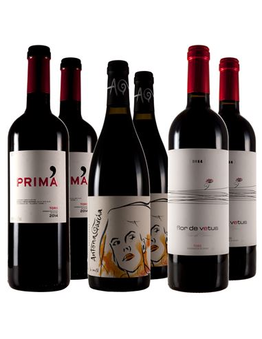 Unos toros que no embisten - 306_1