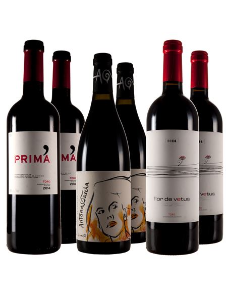 Unos toros que no embisten - 306_1