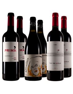 Unos toros que no embisten - 306_1 2