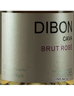 Dibon Rosado - Dibon_Rosado 2