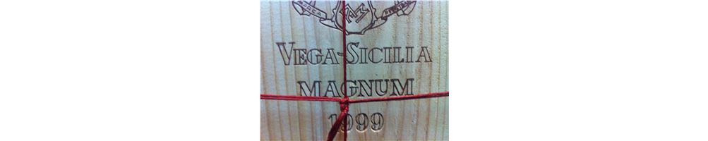 Vino en magnum | formato para compartir desde 15 euros