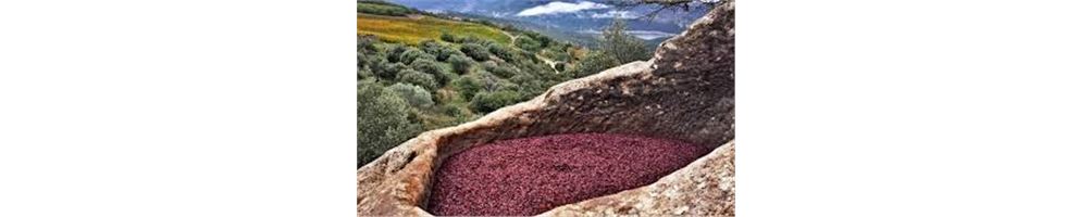 Destacados 10% en Castell d'Encús